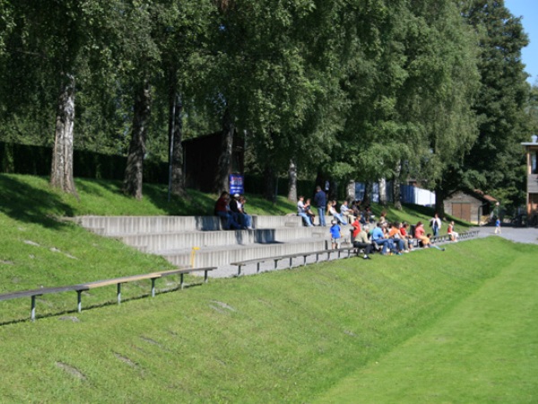 Rheinaustadion stadium image